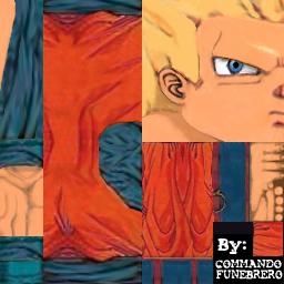 cfunebrero_goku3.jpg